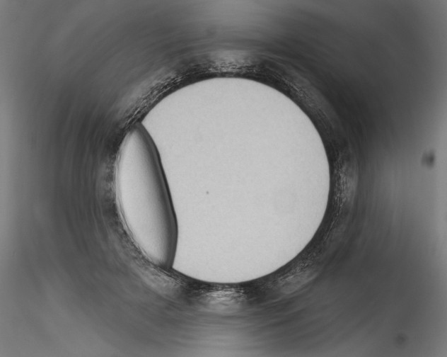 X0000114530505200911301142