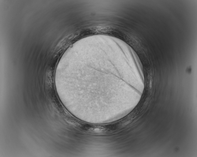 X0000114530506200911301142