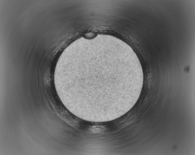 X0000114530508200911301142