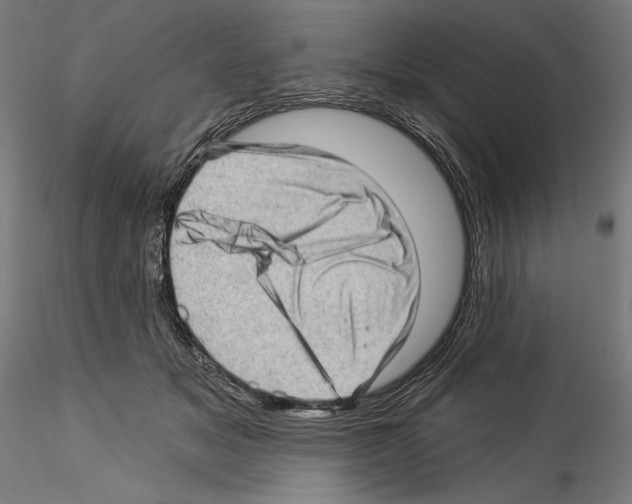 X0000114530509200911301142