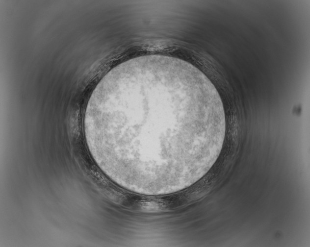 X0000114530510200911301142