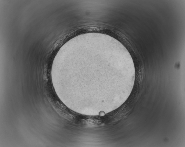 X0000114530512200911301142