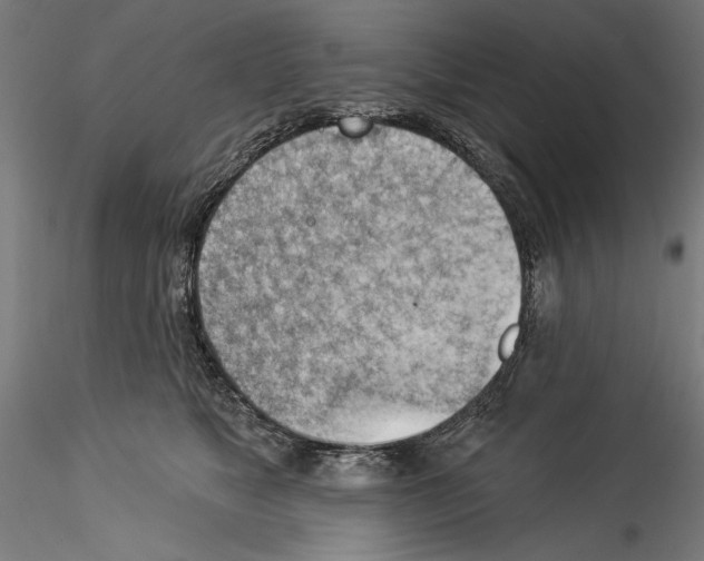 X0000114530517200911301141