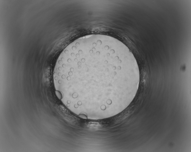 X0000114530519200911301141