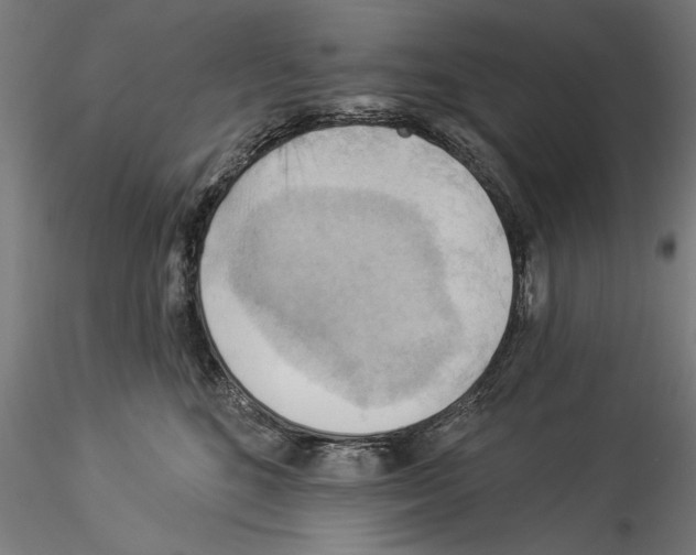 X0000114530520200911301141