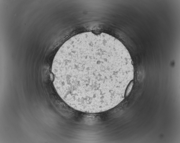 X0000114530521200911301141