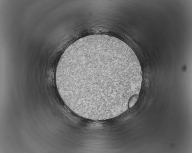 X0000114530523200911301141