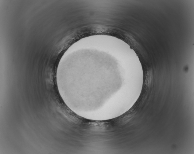 X0000114530524200911301141