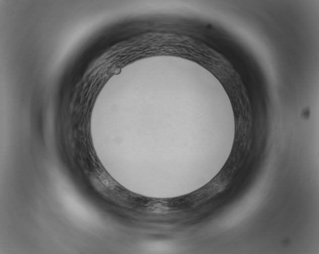 X0000114530526200911301141