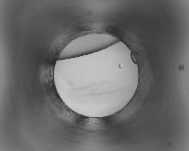 X0000114530528200911301141