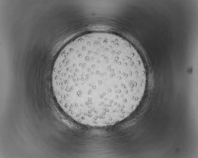 X0000114530529200911301141