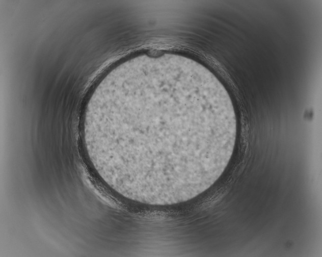 X0000114530530200911301141