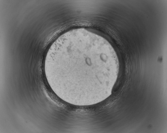 X0000114530538200911301141