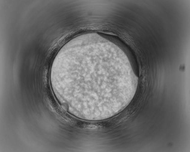 X0000114530542200911301141