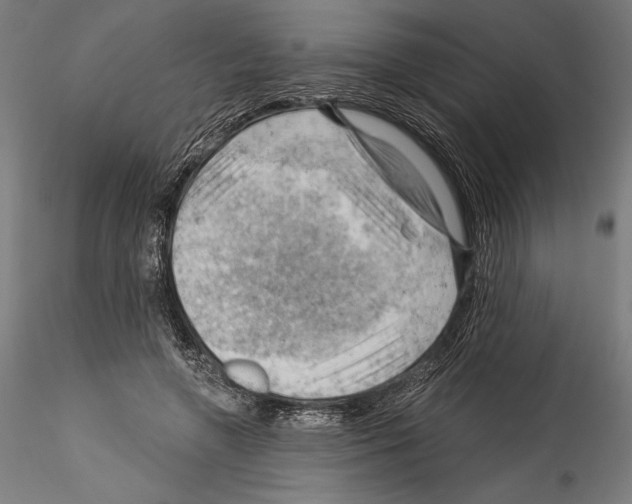 X0000114530546200911301141