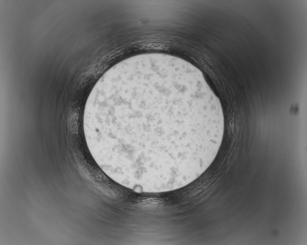 X0000114530551200911301141