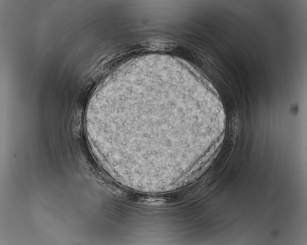 X0000114530554200911301141