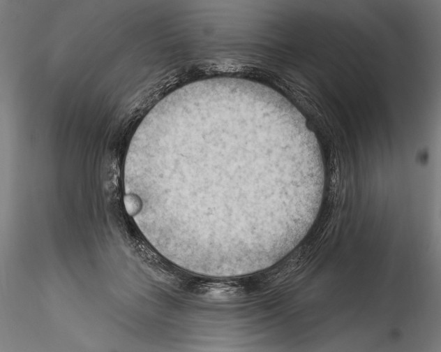 X0000114530555200911301141