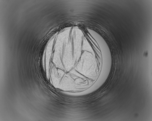 X0000114530558200911301141