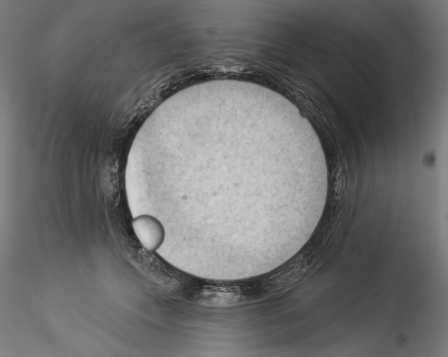 X0000114530559200911301141