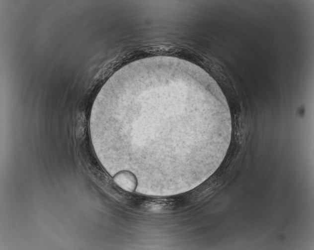 X0000114530563200911301141