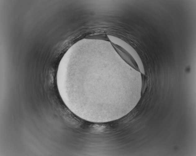 X0000114530570200911301141