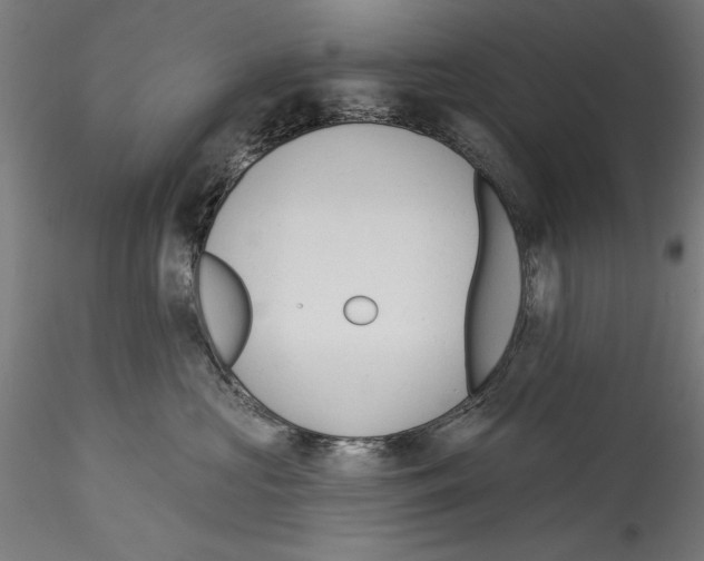 X0000114530573200911301141