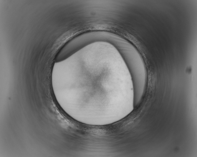 X0000114530577200911301140