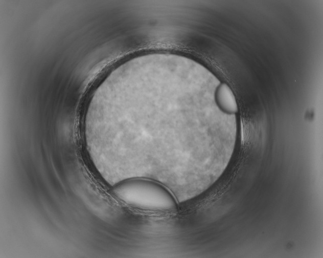 X0000114530579200911301140