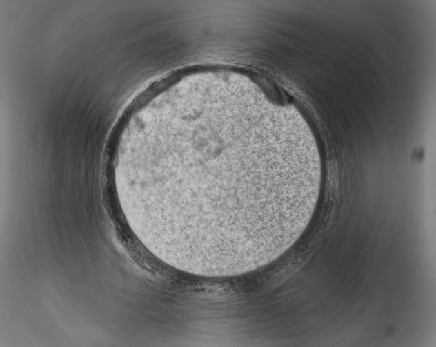 X0000114530580200911301140