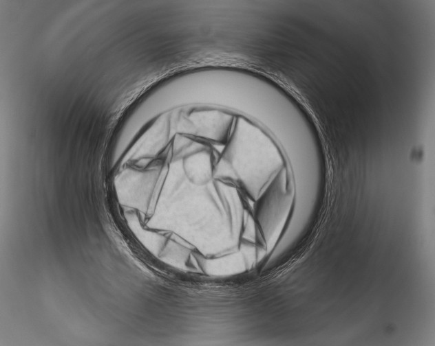 X0000114530581200911301140