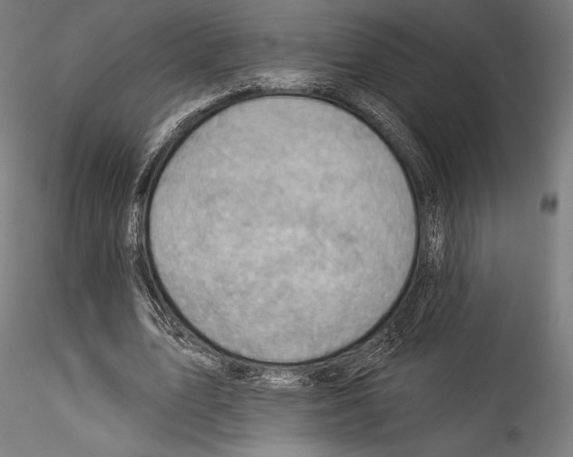 X0000114530583200911301140