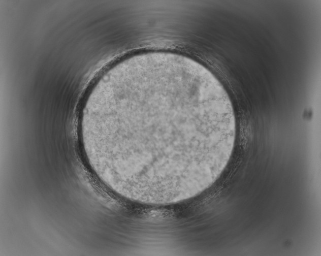 X0000114530584200911301140