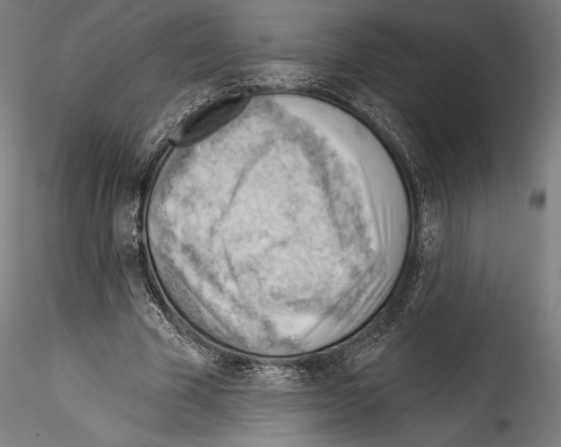 X0000114530585200911301140