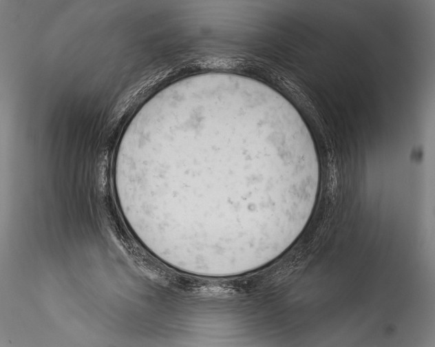 X0000114530586200911301140