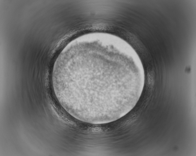 X0000114530588200911301140