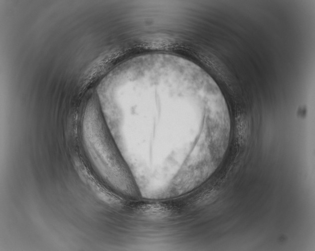 X0000114530589200911301140