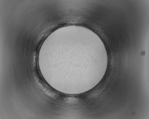 X0000114530590200911301140