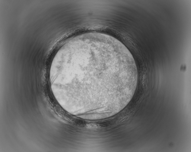 X0000114530591200911301140