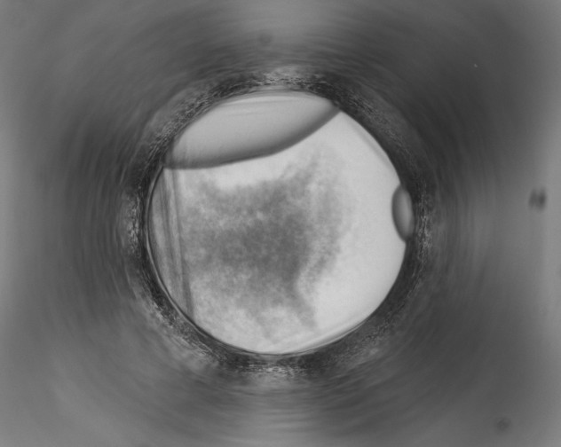 X0000114530593200911301140