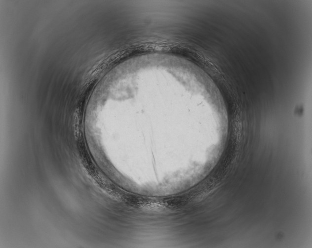 X0000114530594200911301140