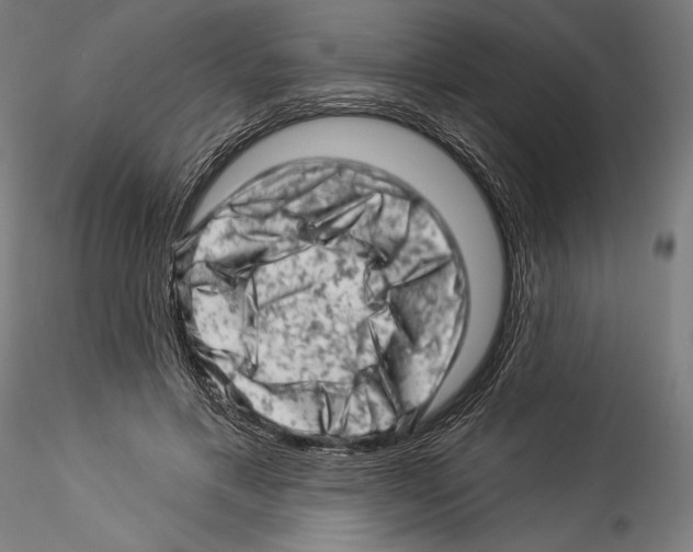 X0000114530597200911301140