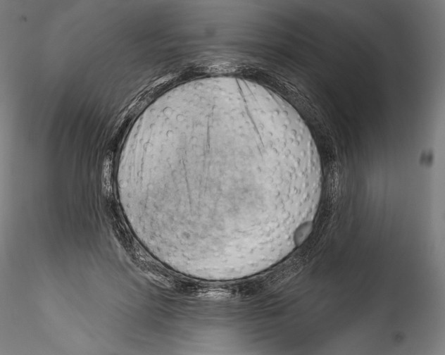 X0000114530598200911301140