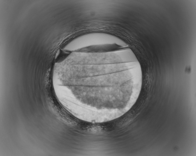 X0000114530600200911301140