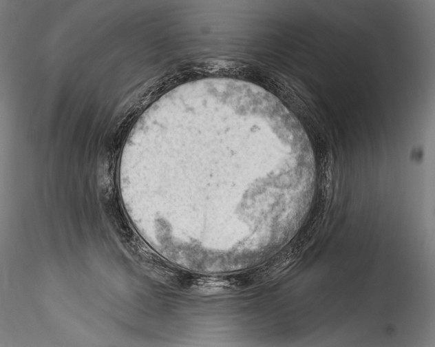 X0000114530607200911301140