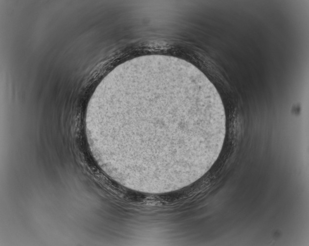 X0000114530608200911301140