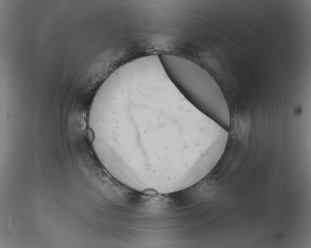 X0000114530621200911301140