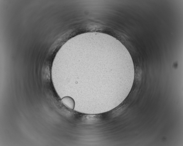 X0000114530622200911301140