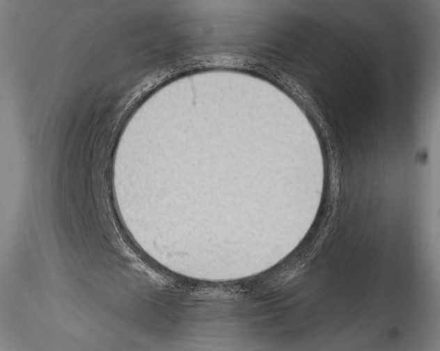 X0000114530625200911301139