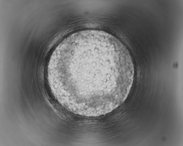 X0000114530626200911301139